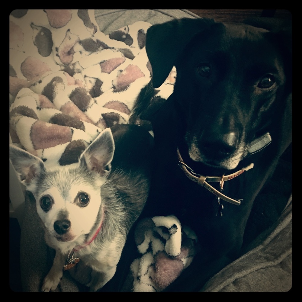 Meet your Posher, Danielle